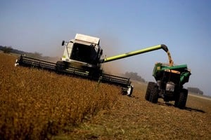 En el caso de la soja, el grano seguirá con el 33%, pero el Gobierno subirá la alícuota del 31 al 33% para la harina y el aceite.