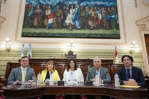 Mascioli, Moreno Robinson, García, Farías y Miró encabezando el encuentro en el recinto de Diputados.
