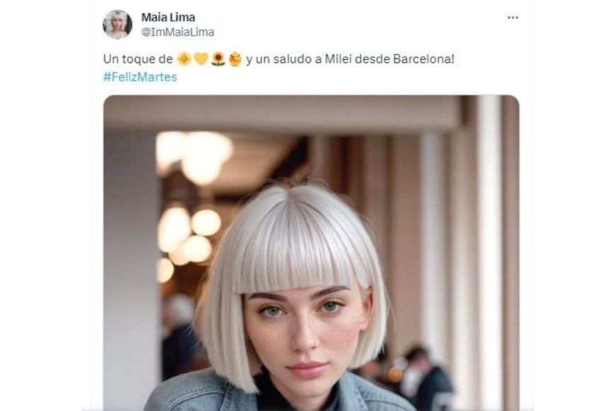 Influencers digitales: Maia Lima le mandó un saludo a Javier Milei, ya que se identifica como argentina.