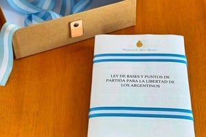 La mega ley establece límites a las marchas, blanqueo de capitales, derogación de las PASO, declara la emergencia pública, privatización de empresas estatales, entre otras iniciativas.