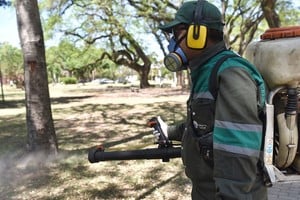 Trabajos de fumigación, iluminación y bacheo .