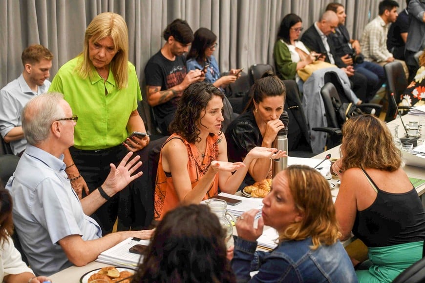 Se cumplió la tercera y última jornada de exposiciones de entidades de la sociedad civil ante las tres comisiones. Créditos: Télam