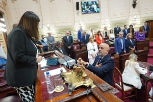 Finalmente, la presidenta de la Cámara de Diputados de Santa Fe, Clara García, tomó juramente el miércoles a Fabián Palo Oliver quien ocupará la banca Nº 50.