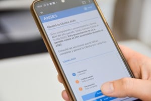 El formulario de Libreta AUH se puede generar y cargar desde un celular.