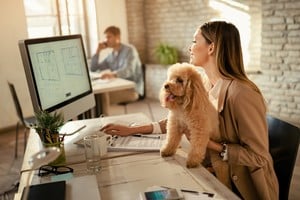 La presencia de mascotas en oficinas no solo alegra el ambiente laboral, sino que también fortalece el vínculo entre empleados y compañeros de cuatro patas.