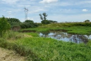 Con la llegada de “El Niño”, el Parque del Humedal se renueva en Colonia San José y vuelve a convocar a una gran cantidad de fauna de la región.