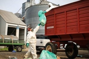 El plástico será reutilizado para fabricar caños, postes, fratachos y otros materiales de construcción, así como elementos viales