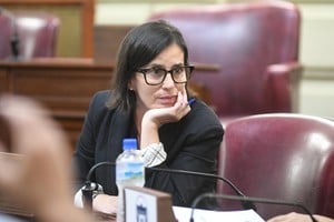Ximena Sola (PRO). Una voz a favor de MIlei entre duros cuestionamientos legislativos de Santa Fe al presidente. Crédito: Pablo Aguirre