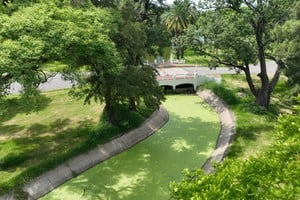 Agua verde en los canales que unen los estanques del parque. Foto: Fernando Nicola