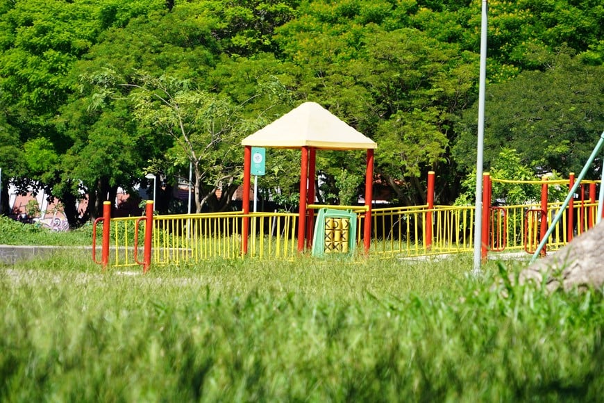 En la ciclovía y en el Parque Federal se veía este miércoles los yuyos altos. F Nicola / M Fabatía