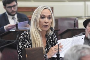 La fiscal general María Cecilia Vranicich en una reciente exposición en la Legislatura. Créditos: Luis Cetraro