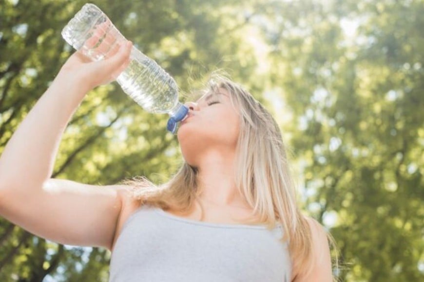 Con la llegada del verano, es crucial adoptar medidas para mantenerse hidratado.