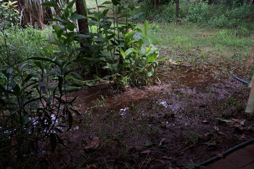 En una de las casas el agua quedó estancada en el patio. Los vecinos advierten que es un “caldo de cultivo” para la propagación de mosquitos, atracción de víboras y demás alimañas. Foto: Gentileza